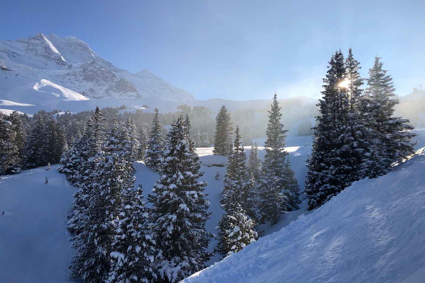 Winter Hiking in the Jungfrau Region - Winter Hiking in the Jungfrau Region