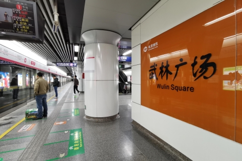 Vanuit Shanghai: Hangzhou privé dagtrip met de Bullet TrainEngelstalige rondleiding door Hangzhou met Uber&Subway