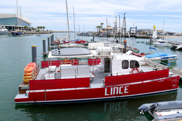 Sea Shuttle & City Tour Vilamoura ⇄ Albufeira Albufeira: Shuttle Two way Albufeira to Vilamoura with Train