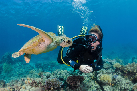 Alanya Scuba Diving Exprience w/Lunch & Transfer
