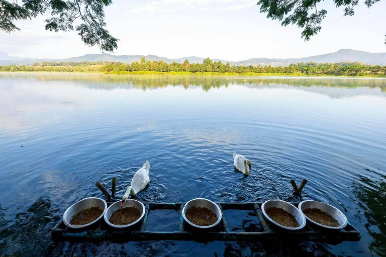 Chiangmai to Chiangrai:Temples, Tea Plantation& Lalitta Cafe 2 Temples & No Pickup