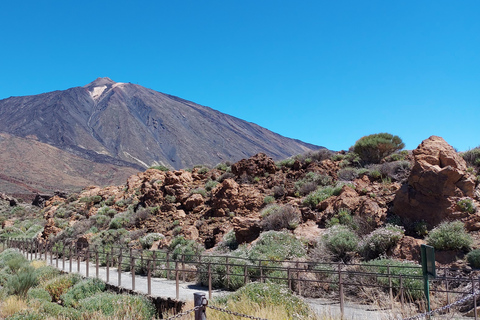 Tenerife: Teide Sunset & Stargazing Small-Group Minivan Tour Teide Sunset & Stars Self Drive Option (Own Car)