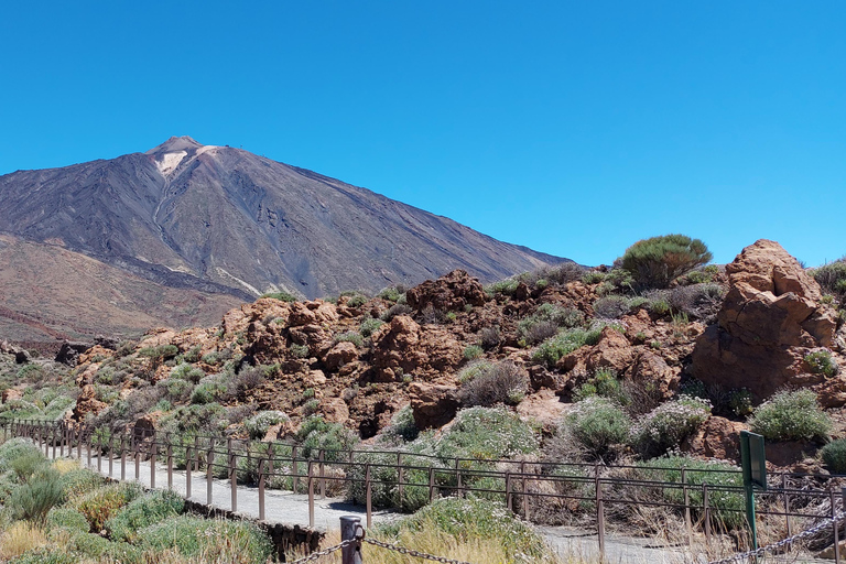 Tenerife: Teide Sunset & Stargazing Small-Group Minivan Tour Teide Sunset & Stars Self Drive Option (Own Car)