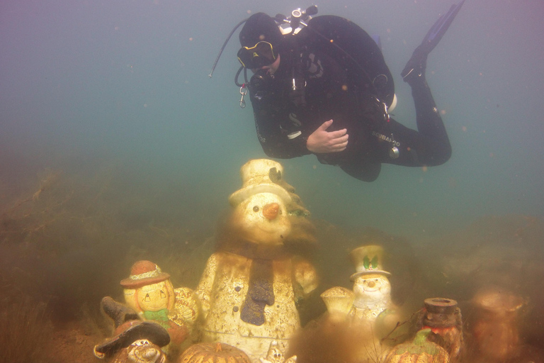 Haren: Dive accompaniment in Lake Dankern