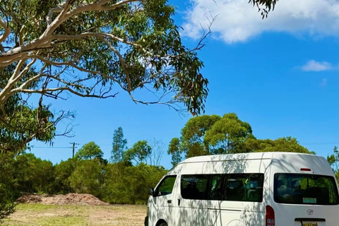 Baby Animals, Boomerangs & BBQ Lunch From Sydney: Baby Animals & Boomerangs Tour with BBQ Lunch