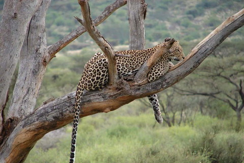 Lake Nakuru & Naivasha National Park Wildlife Highlights