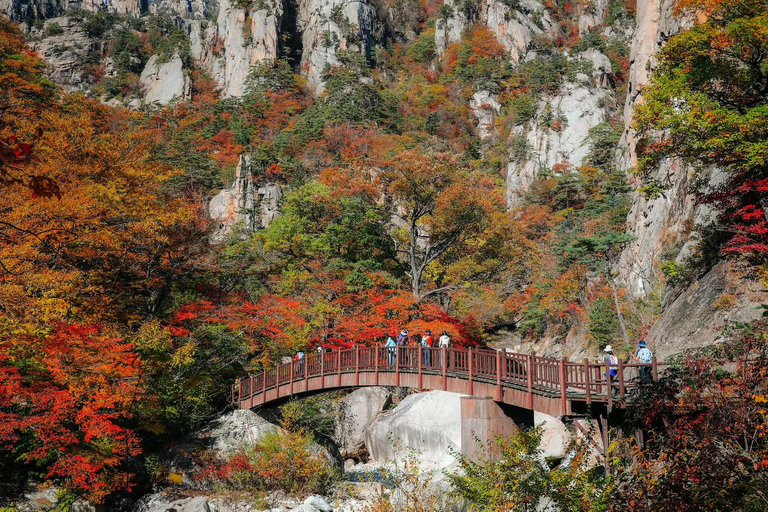 From Seoul: Seoraksan, Naksansa & Naksan Beach Private Tour Group Tour Option Only Thursday