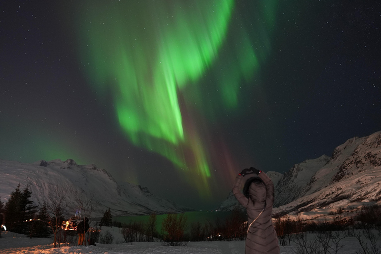 Tromsø: Northern Lights Tour with Free Professional Photos
