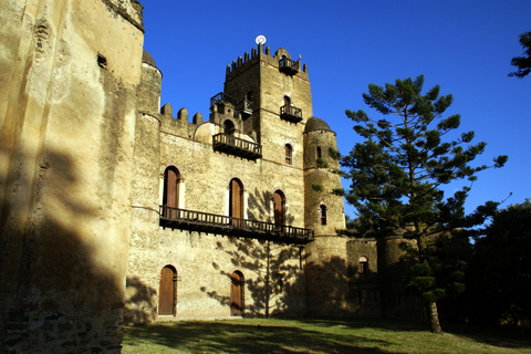 Addis Ababa: 14-Day Northern Ethiopia Tours