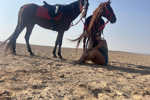 Hurghada: Horse Riding in the Desert & Beach Experience 1 HR Desert Horse Riding Experience without transfer