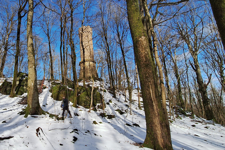 Heidelberg: Neckar River, Cave, Odenwald – Active Highlights Discovery Tour