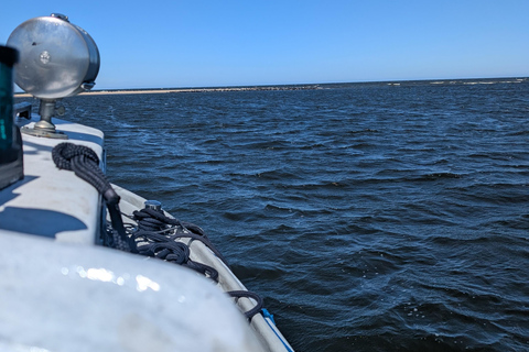 Gdańsk: Seal Watching Boat Tour from Sobieszewo