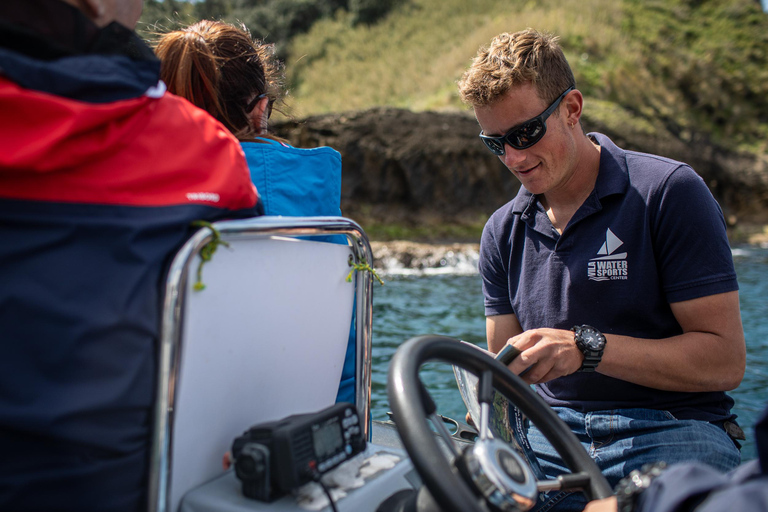 Vila Franca do Campo: Bird Watching & Snorkeling Vila Franca do Campo: Marine Birdwatching & Snorkeling