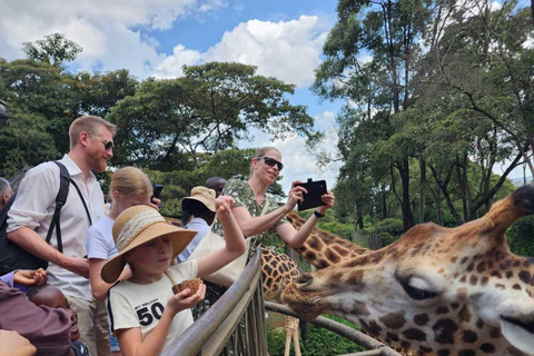 Nairobi: Giraffe Centre Visit and Giraffe Feeding Experience Nairobi: Interactive Giraffe Feeding & Wildlife Education