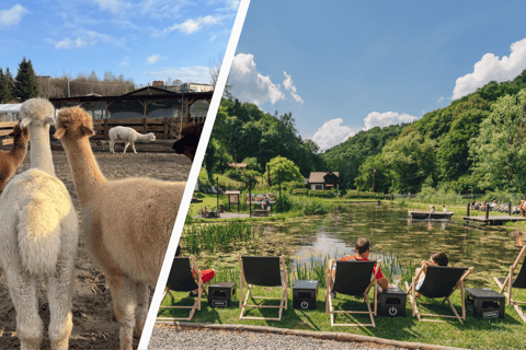 Krakow: Magical day with Alpacas, Castle & Sunset on Water