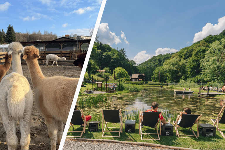Krakow: Magical day with Alpacas, Castle & Sunset on Water