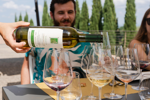 Florence: Tuscany Winery-Hopping Tour with Vineyard Lunch Semi-Private Tuscany Winery-Hopping Tour with Vineyard Lunch
