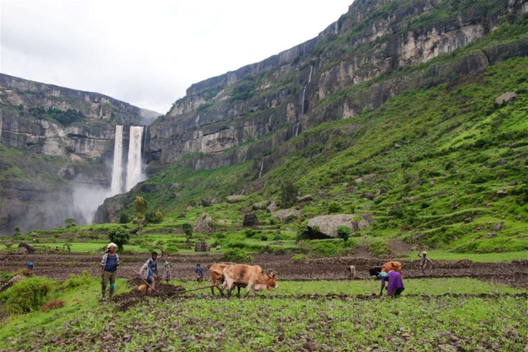 Day Tour Addis To Debrelibanos Scenic Waterfalls wild life