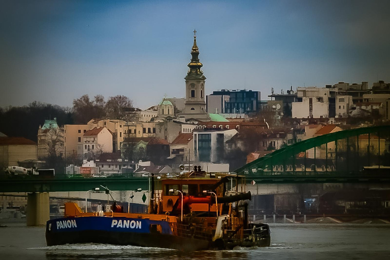 Cruise in Belgrade: Sava and Danube River Cruise with Views