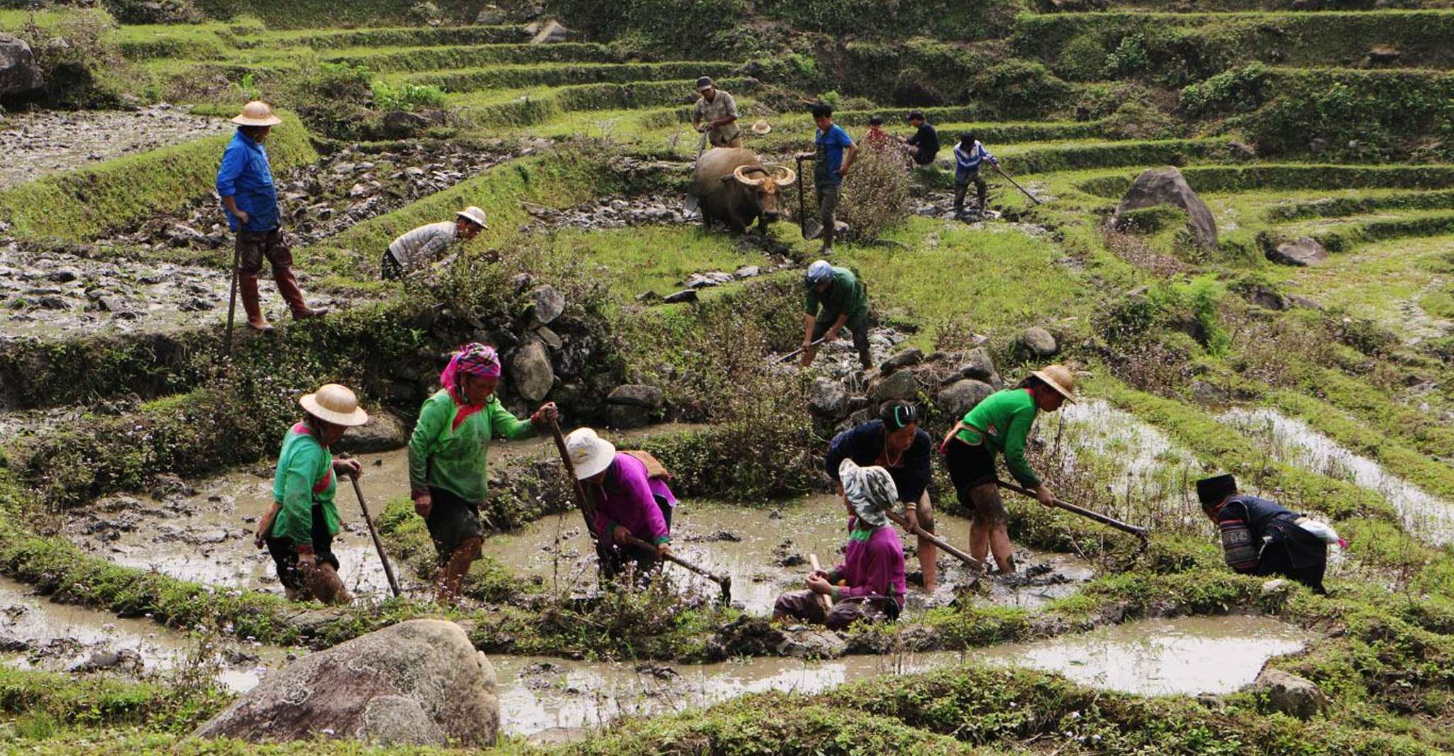 Day Trek Adventure With Local Guides - Housity