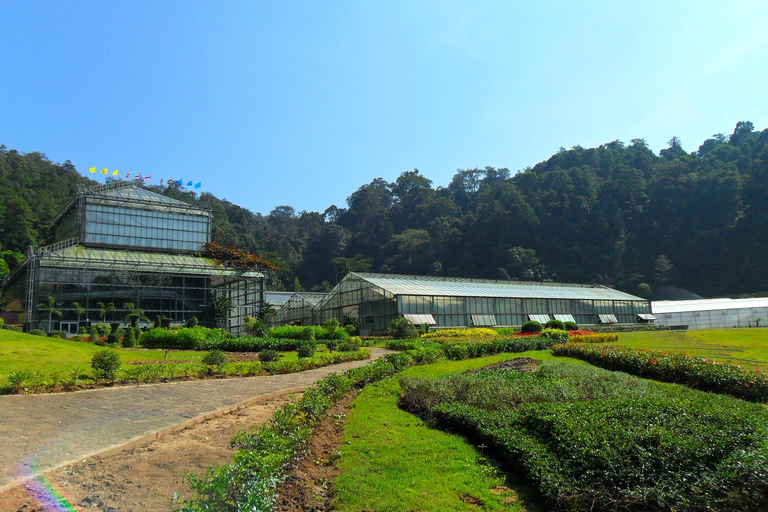 Chiang Mai: Queen Sirikit Botanic Garden Entry Ticket