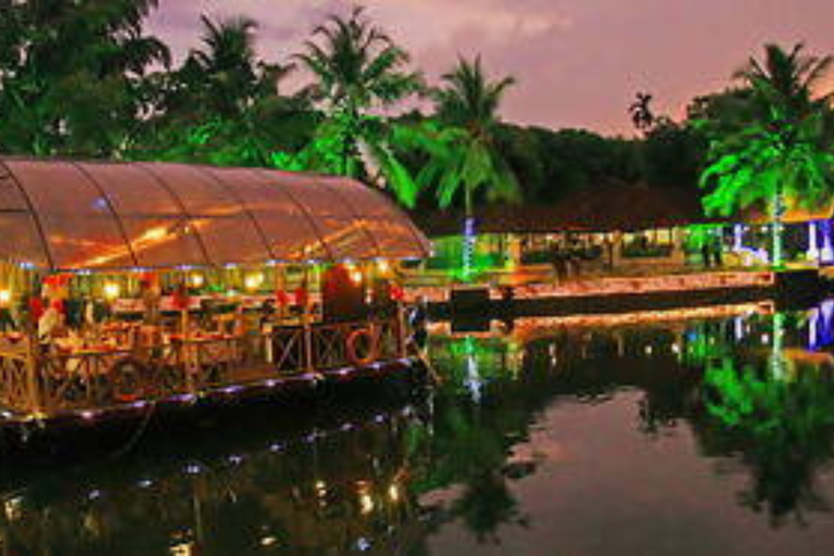 Kerala: 4-Day Honeymoon Tour with Treehouse Stay