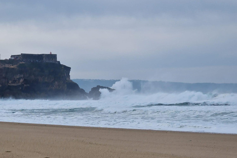 Porto to Lisbon with Aveiro-Coimbra-Fátima-Nazaré-Óbidos MINIBUS (9-19 PAX) WITH 3 STOPS