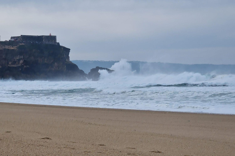 Porto to Lisbon with Aveiro-Coimbra-Fátima-Nazaré-Óbidos MINIBUS (9-19 PAX) WITH 3 STOPS