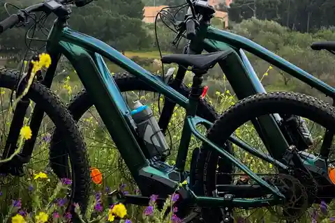 Valley Of The Temples By E-Bike With Picnic Included