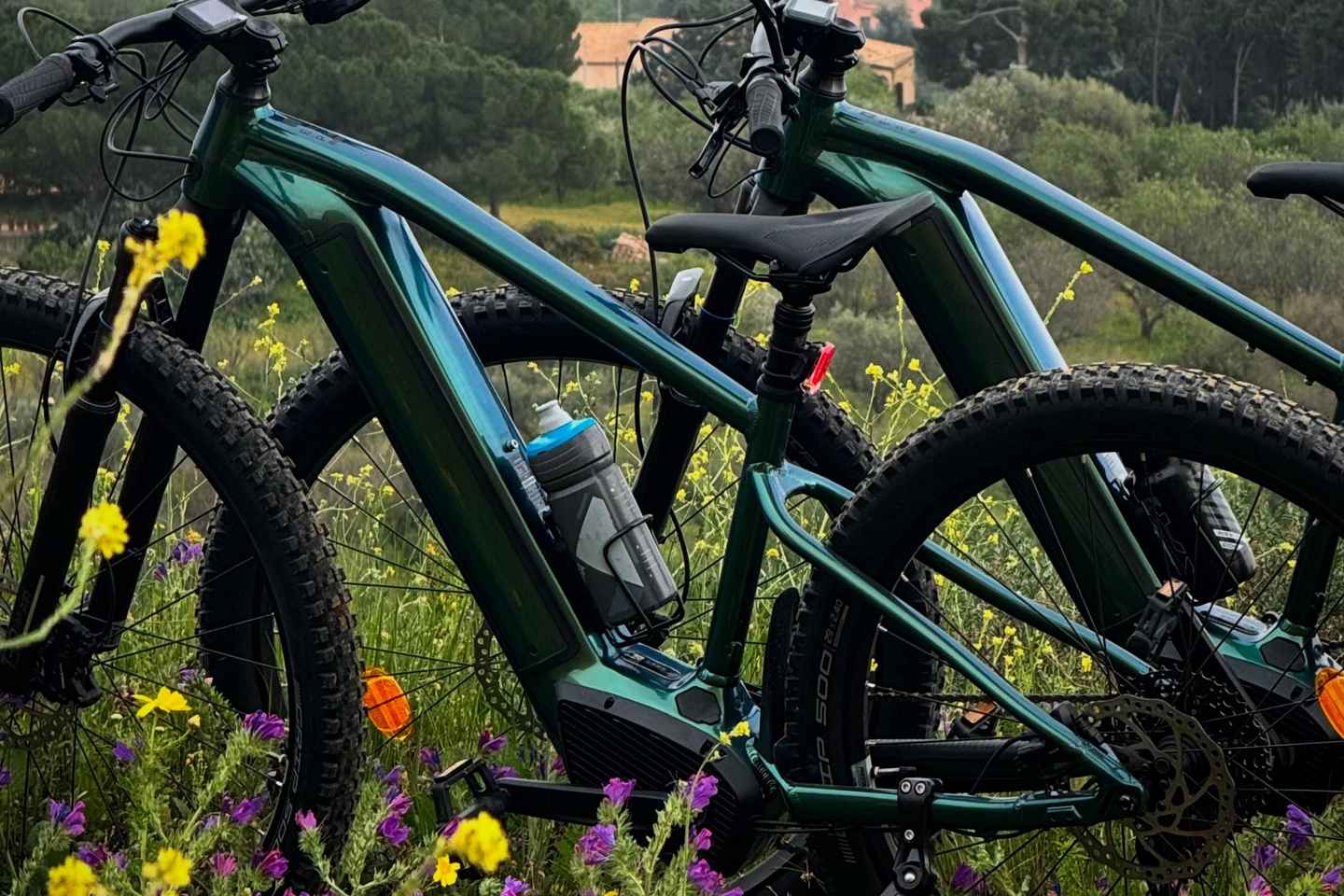 Valle de los Templos en Bicicleta Eléctrica con Picnic Incluido