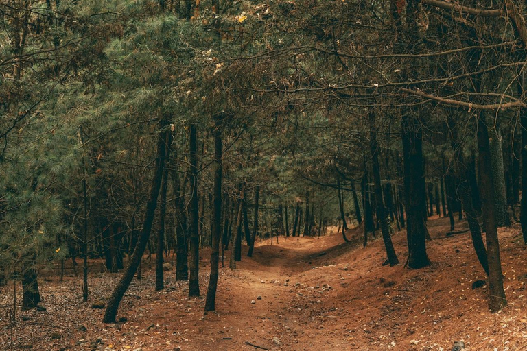 Caminhada na Cidade do México: Escale o pico mais alto com um guia localTour particular