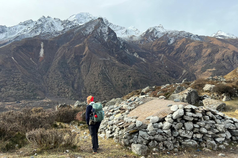 Journey Through Langtang: A 6-Day Trek with Meals