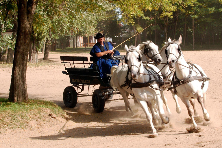 From Budapest: Puszta Horse Show and Countryside Visit Full-Day Puszta Tour (No Pickup)