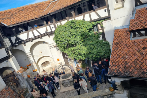 Transylvania 4-Day Tour: Castles, Bears & UNESCO