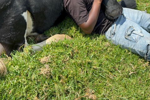 From Kigali: Bigogwe Cow Experience, Hiking & farm with Meal