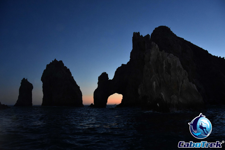 Sunset Whale Watching Cruise in Cabo San Lucas