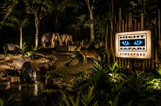 Singapur: Nacht-Safari mit Straßenbahn-Fahrt & Hotelabholung