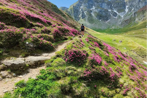 Brasov: Carpathians Trail Running Tour with Guide