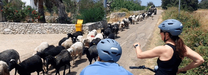 Lecce : visite en vélo électrique du moulin à huile de Galatina et dégustation de vin + taxi