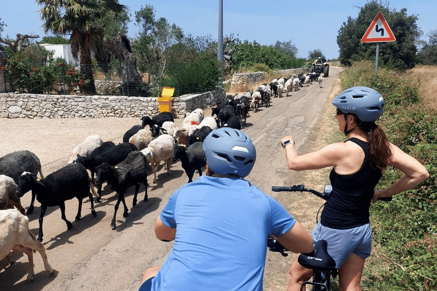 Lecce: tour in e-bike al frantoio di Galatina e degustazione di vino + taxi