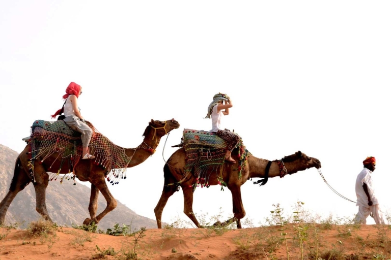 Pushkar Day Trip with Camel Safari From Jaipur By Car. Private Pushkar Day Trip From Jaipur By Car - All Inclusive