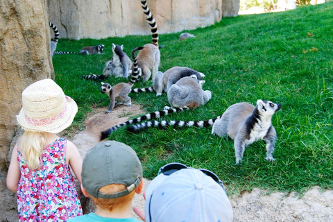 Valencia: Toegangsticket Bioparc Valencia