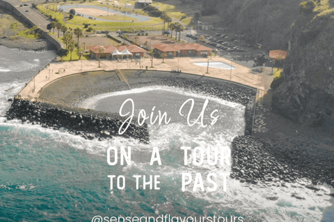 VW VAN Tours | NORDESTE