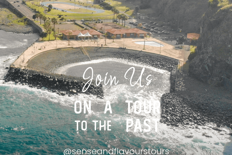 VW VAN Tours | NORDESTE