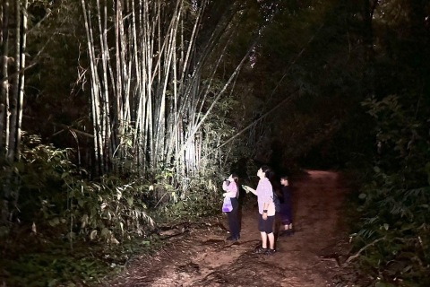 Khao Sok Jungle Sunset Wildlife Encounter (rencontre avec la faune et la flore) et Bamboo Rafting (rafting en bambou)