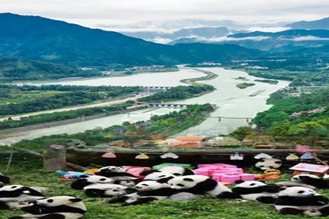 Dujiangyan panda base and irrigation system park day tour