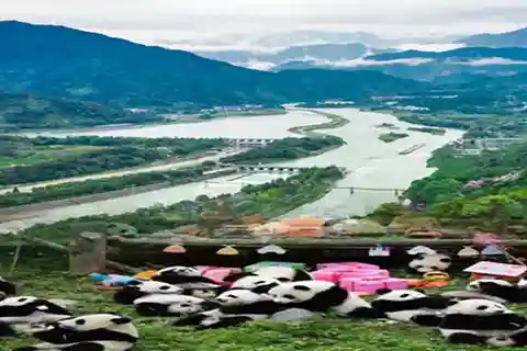 Dujiangyan panda base and irrigation system park day tour