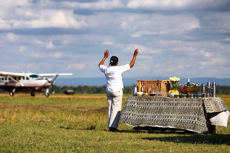 Amboseli Safari Escape: 3-Day Luxury Adventures