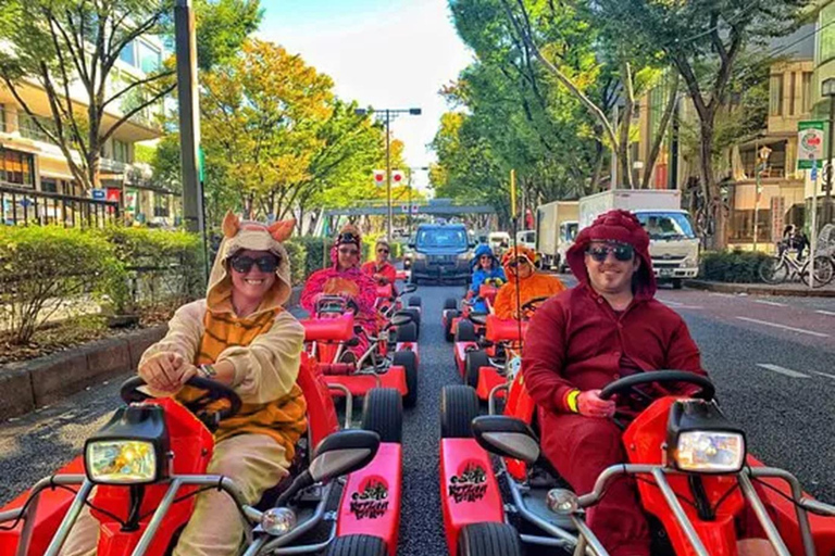 GoKart Tokio: Recorrido por el casco antiguo |8 destinos turísticos en 100 minutosGo Kart Tokyo Oldtown |8 Destinos