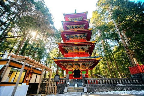 Visite touristique de Nikko en charter privé avec guideDepuis Tokyo : Nikko visite privée d'une journée